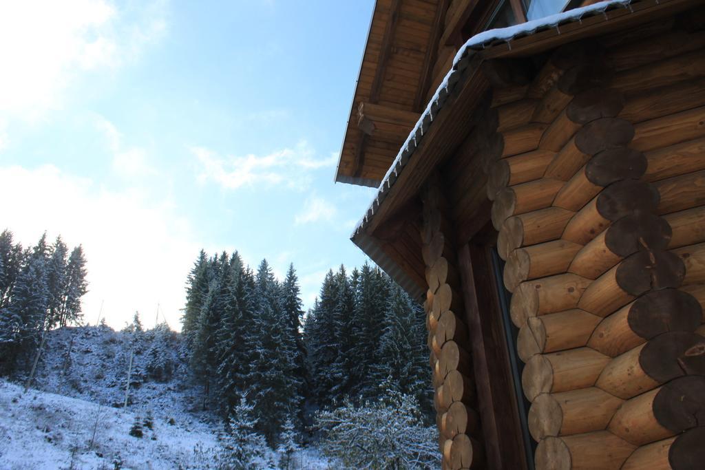 Sadyba Kazkove Dzherelo Verkhovyna Oda fotoğraf